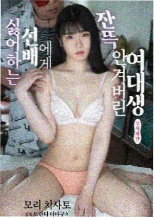 风骚律师